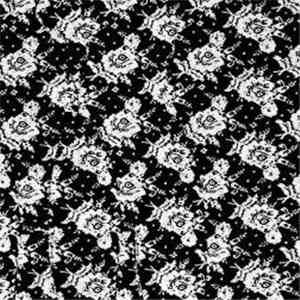 Chain Of Flowers - Arches Session
