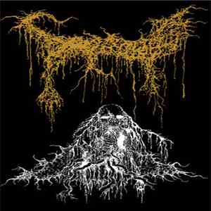 Swallowed - Swallowed