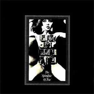 Felt - The Splendour Of Fear