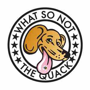 What So Not - The Quack