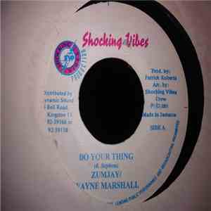 Zumjay / Wayne Marshall - Do Your Thing