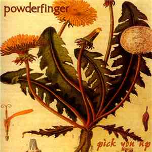 Powderfinger - Pick You Up