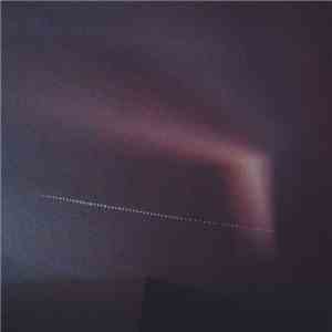Siavash Amini - What Wind Whispered To The Trees