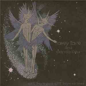 Avey Tare And Panda Bear - Spirit They're Gone Spirit They've Vanished