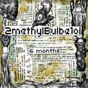 2methylbulbe1ol - 6 Months