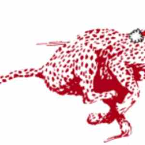 Beastqueef - Songs Of The Christmas Cheetah