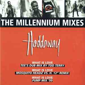 Haddaway - The Millennium Mixes