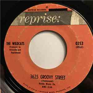 The Wildcats - 3625 Groovy Street/ What Are We Gonna Do In '64?