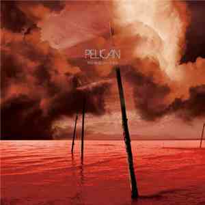 Pelican  - What We All Come To Need