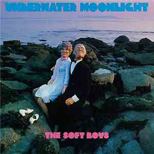 The Soft Boys - Underwater Moonlight