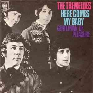 The Tremeloes - Here Comes My Baby
