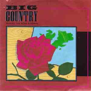 Big Country - Where The Rose Is Sown