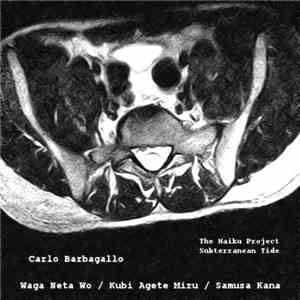 Carlo Barbagallo - Haiku 10