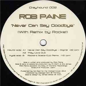 Rob Paine - Never Can Say Goodbye
