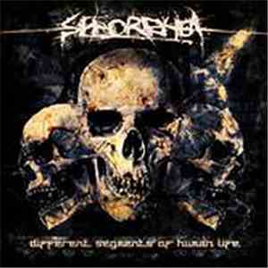 Seborrhea - Different Segments Of Human Life