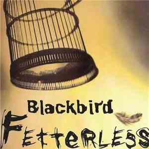 Blackbird - Fetterless