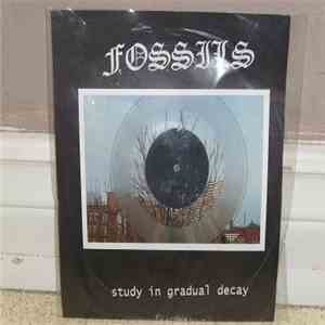 Fossils - Study In Gradual Decay