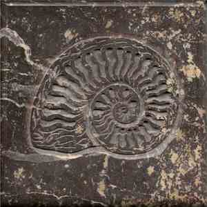 Merzbow - Metamorphism
