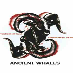 Ancient Whales - Vestiges Of Tails