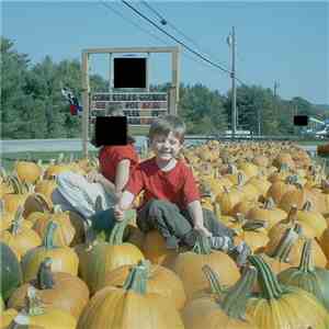 Shaun Hathaway - October