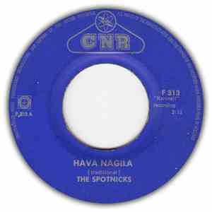 The Spotnicks - Hava Nagila / Moonshot