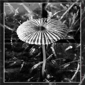 Isolant - Isolant