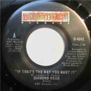 Diamond Head  - If That's The Way You Want It
