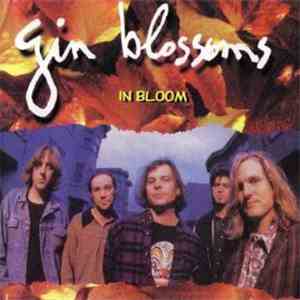 Gin Blossoms - In Bloom