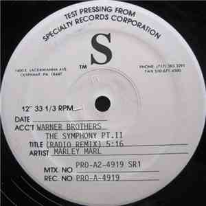 Marley Marl - The Symphony Pt. II