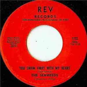 The Seaweeds - You Swam Away With My Heart