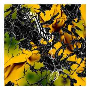 Various - Tribute To Mycorrhizae