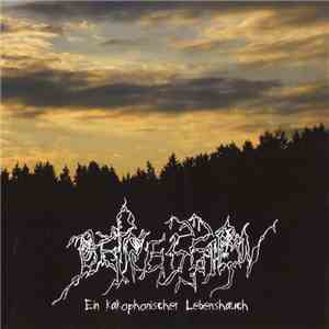 Depression - Ein Kakophonisher Lebenshauch