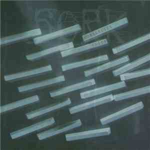 Sork - Horseflies Flies