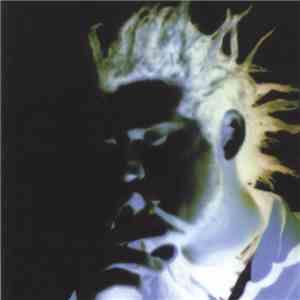 Wooden Ghost - No Minute Gone Comes Ever Back Again, Take Heed And See Ye N ...