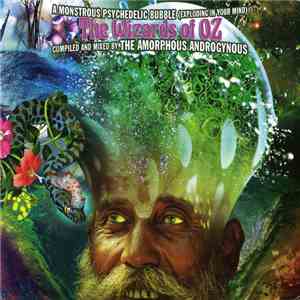 The Amorphous Androgynous - A Monstrous Psychedelic Bubble (Exploding In Yo ...