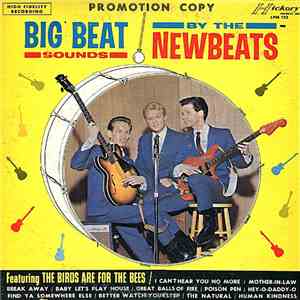 The Newbeats - Big Beat Sounds By The Newbeats