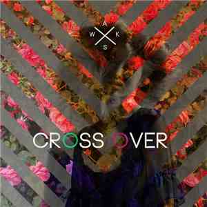 Akoustik Shadow - Cross Over
