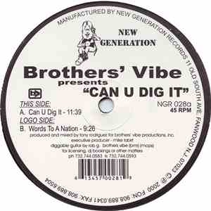 Brothers' Vibe - Can U Dig It
