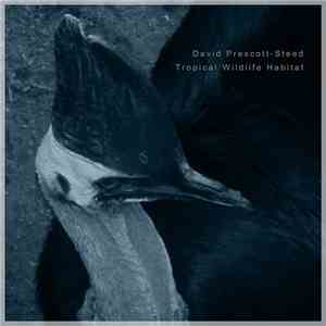 David Prescott-Steed - Tropical Wildlife Habitat