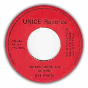 Gys Winter - What's Going On
