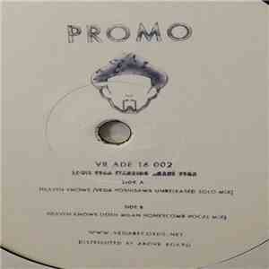 Louie Vega Starring Anané - Heaven Knows