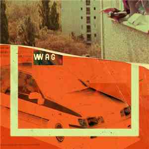 Wedding Acid Group - Newpestian Adventures