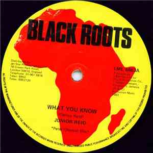 Junior Reid / Danny Dread - What You Know / Girl A Ginal