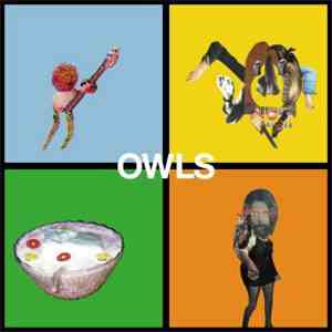 Owls - Owls