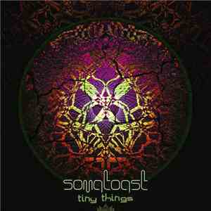 Somatoast - Tiny Things
