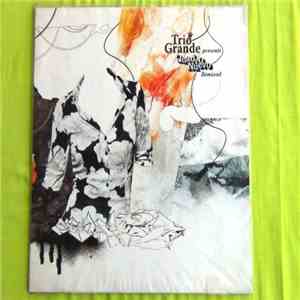Trio Grande - Presents Quadro Nuevo Remixed
