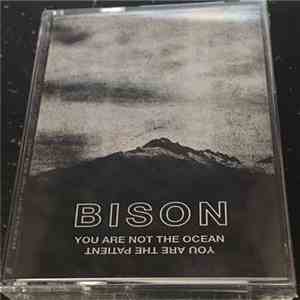 Bison - You Are Not The Ocean You Are The Patient