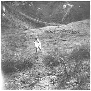 ◯ / Planks - Split EP
