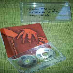 Sigfrid V. Shrink - Songs From The Kitchen Sink