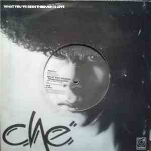 Ché - What You've Been Through Is Love